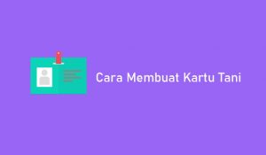 10 Cara Membuat Kartu Tani 2022 : Syarat & Manfaat - Tigasiku